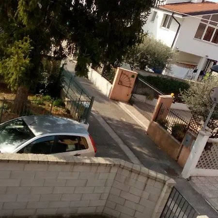 Al Pino